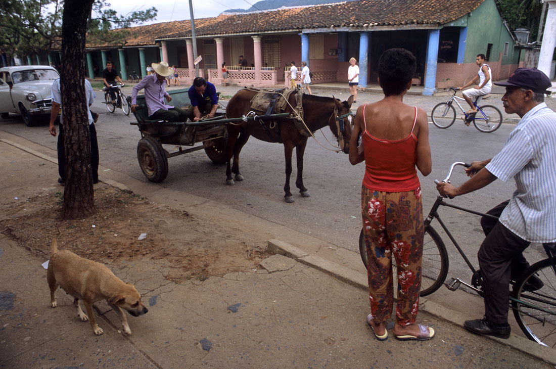 Street scene in Vinales Cuba