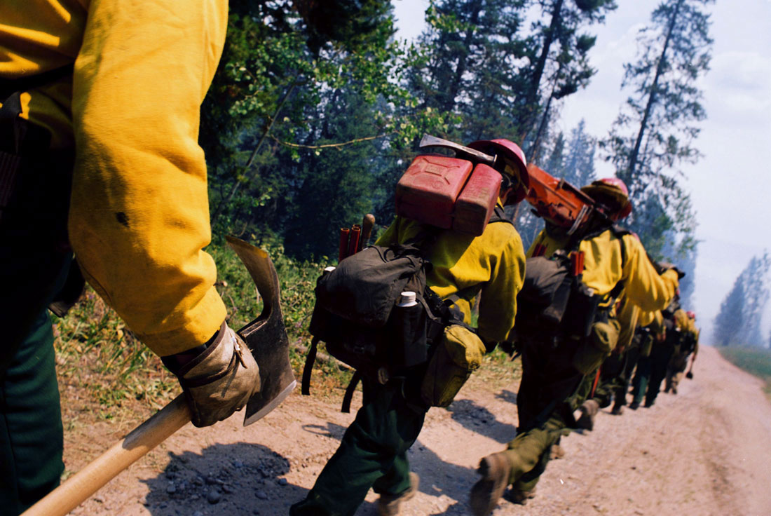 forest fire fighters